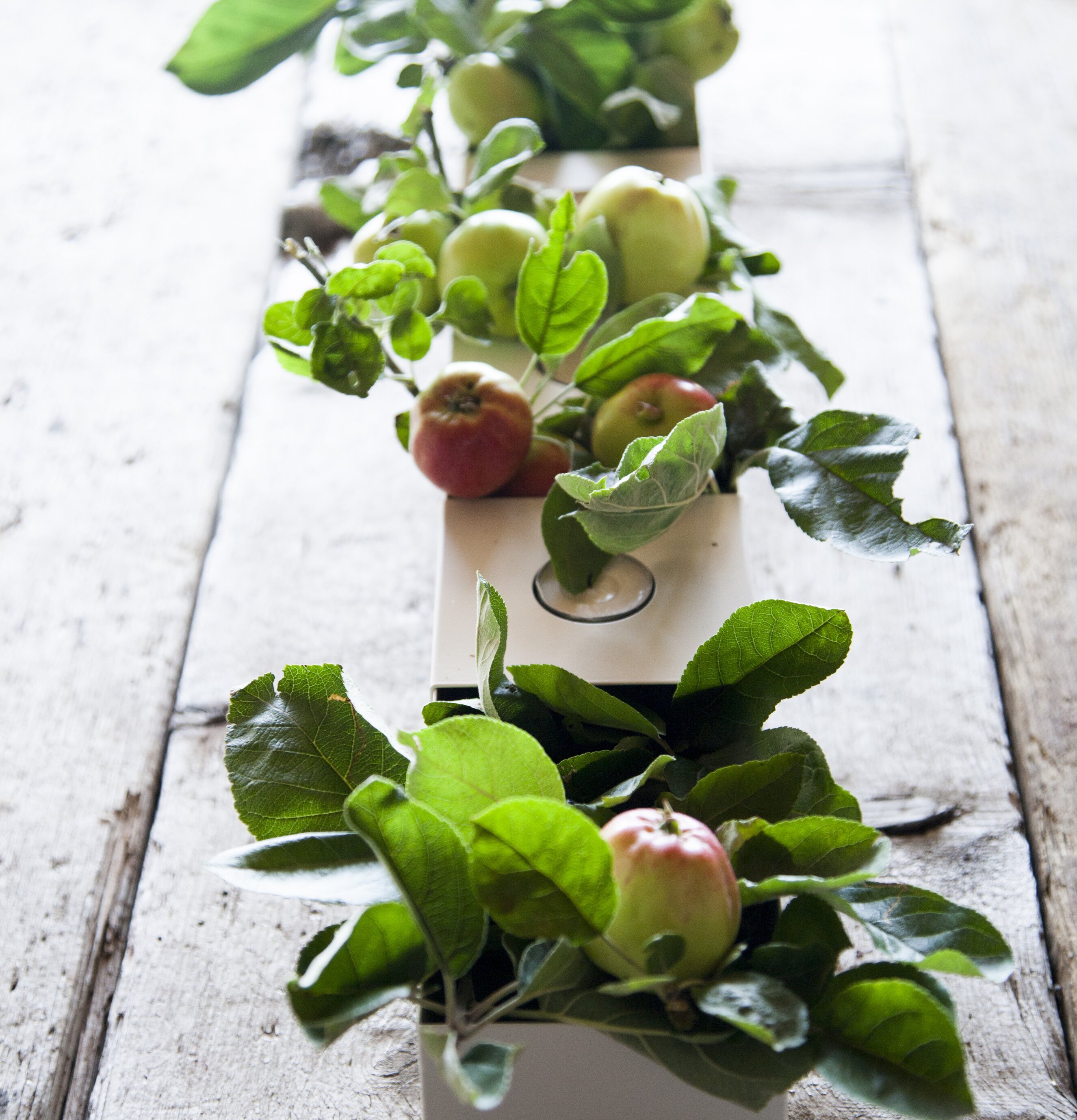 Forserum Ljushållare från Storefactory med äppelkvistar