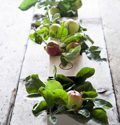 Foto av minimalistiska ljushållare på rustikt träbord