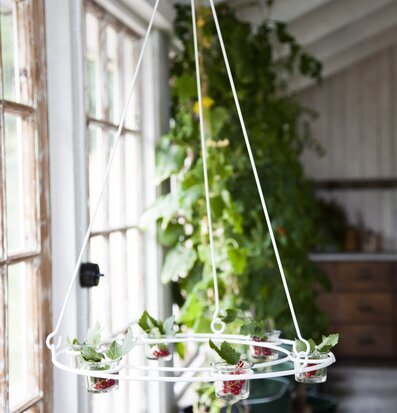 Bild av ljuskrona i naturinspirerat rum med växter