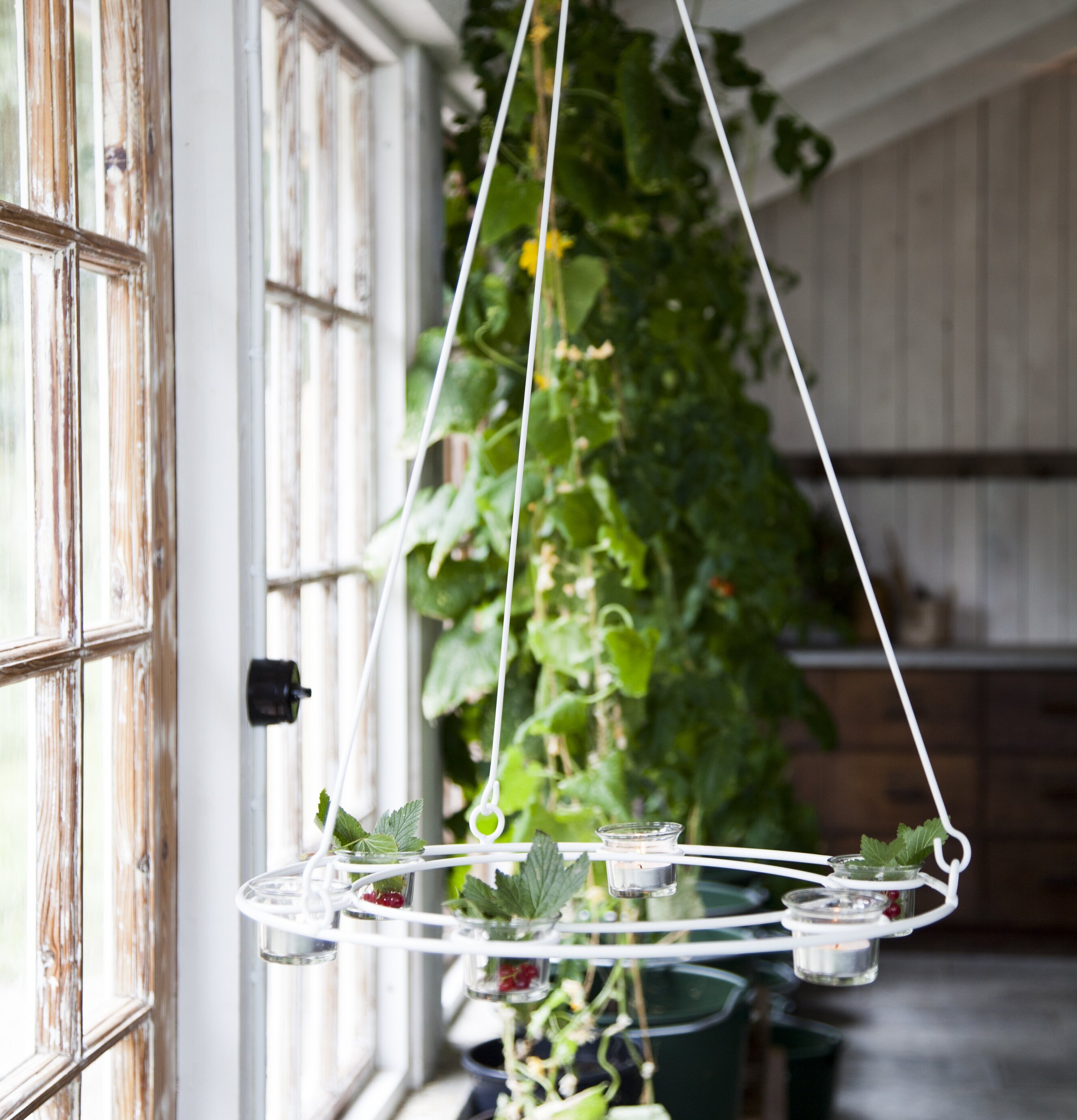 Bild av lantligt rum med ljus och grönskande atmosfär