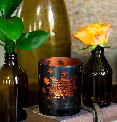 Bild av stämningsfull höstdekoration med ljuslykta