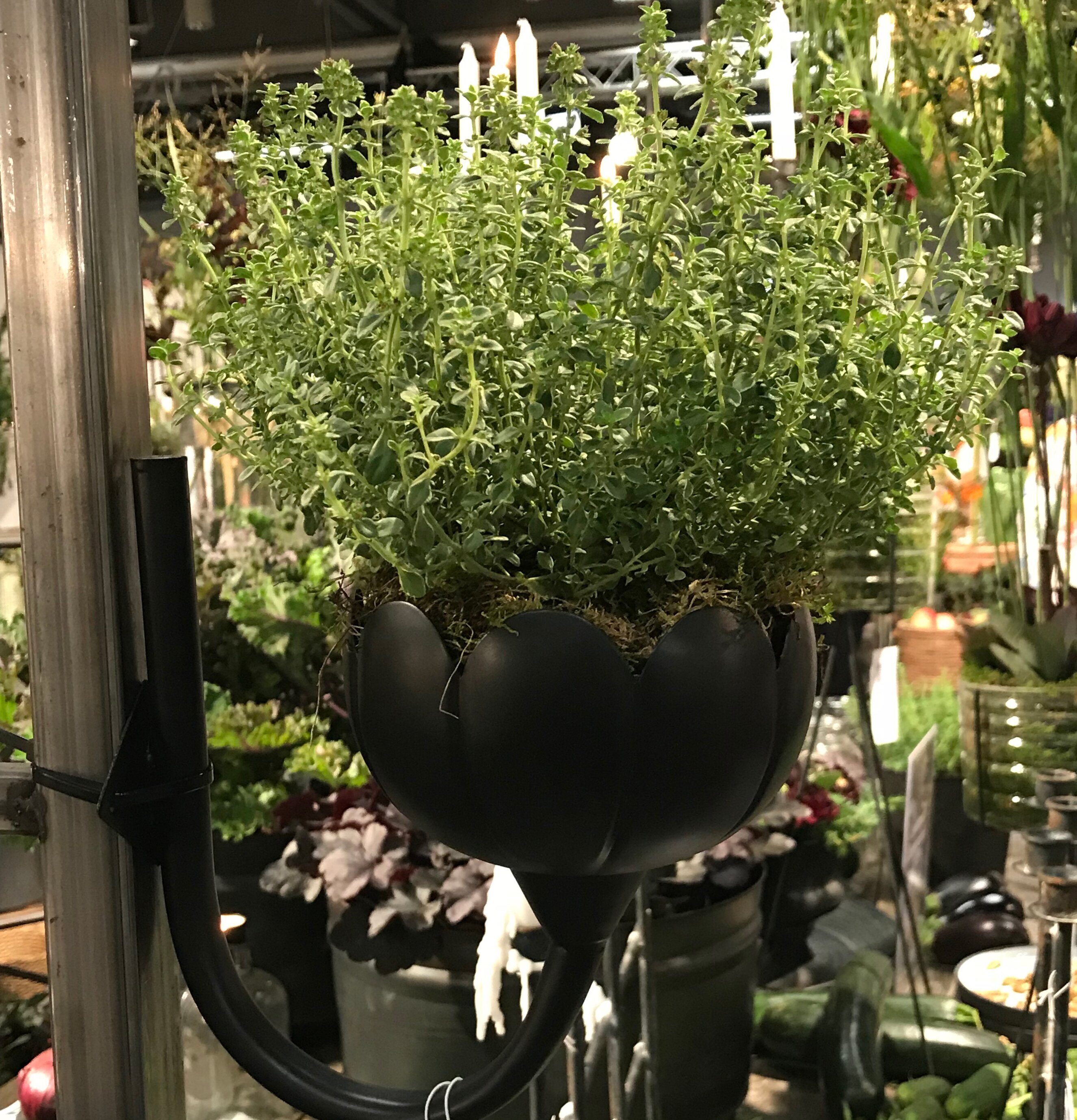 Foto av elegant väggljusstake med växtarrangemang