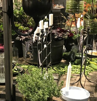 Bild av inspirerande butiksyta med växter och ljus