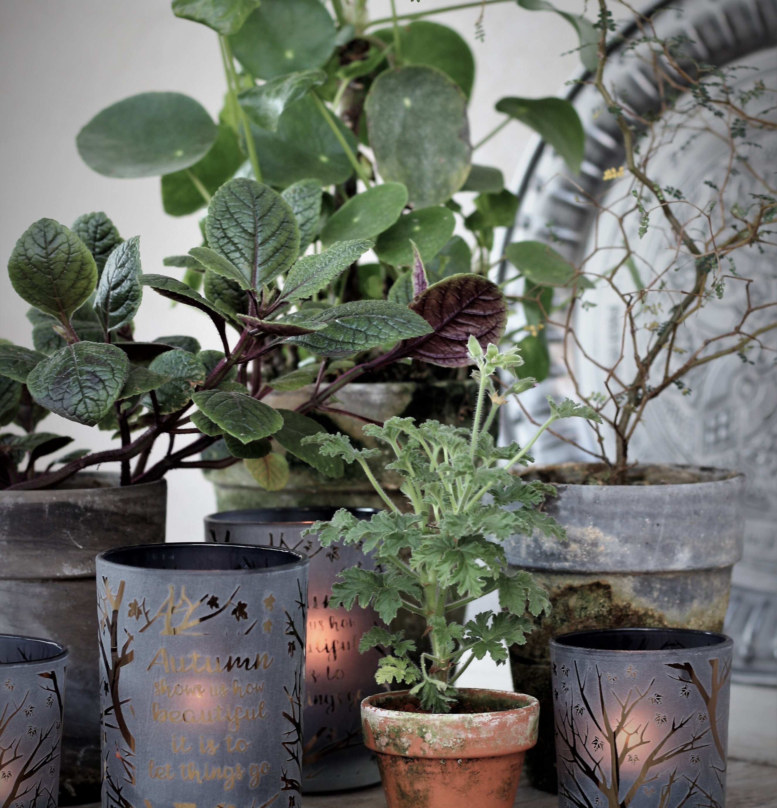 Ljuslykta Autumn Quote från Majas Cottage med höstmotiv