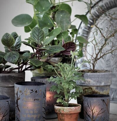 Ljuslykta Autumn Quote från Majas Cottage med höstmotiv