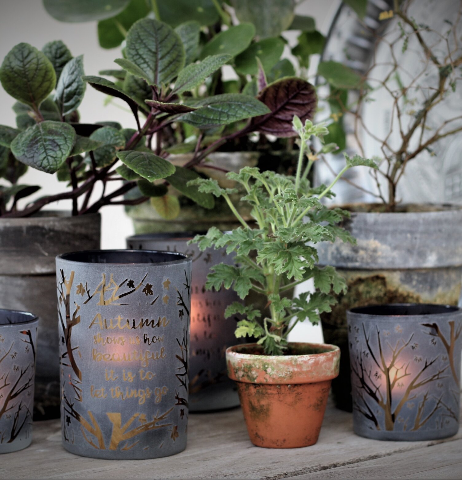 Ljuslykta Autumn Quote från Majas Cottage med höstdesign