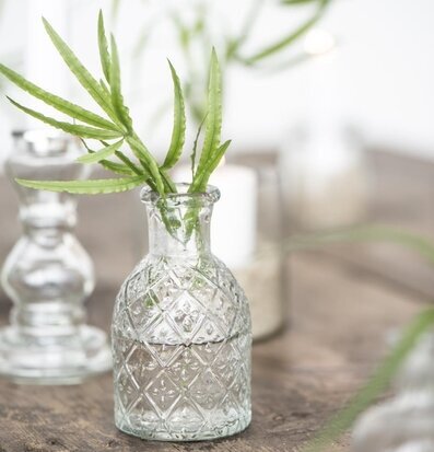 Foto av elegant miljö med glasflaska och växter