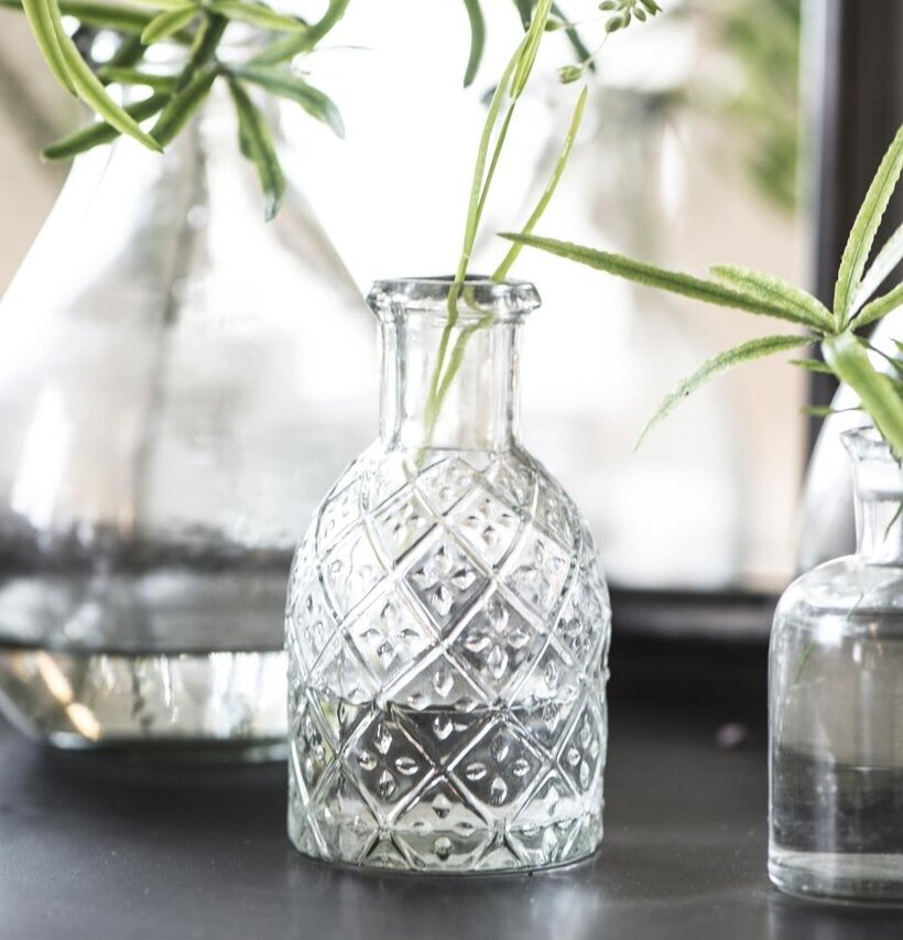 Foto av elegant glas med växter och ljusreflektioner