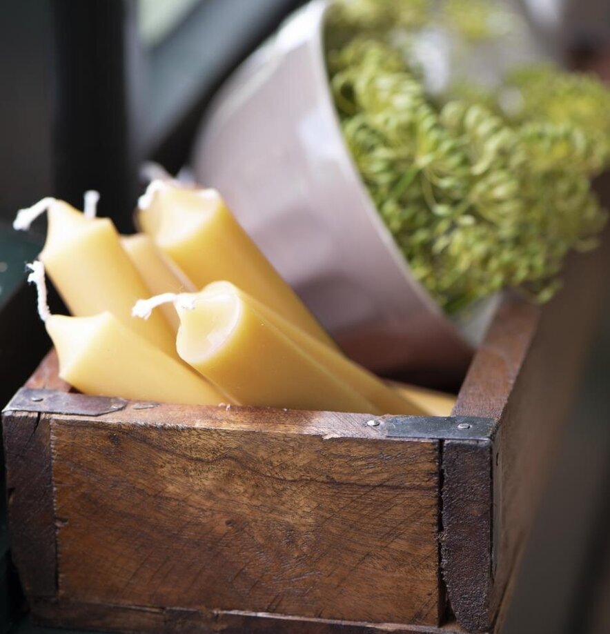 Stearinljus Kort Senapsgul från IB Laursen i trälåda