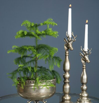 Bild av elegant ljusstake med antik silvrig finish