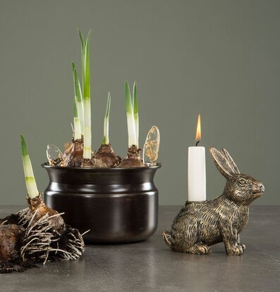 Bild av dekorativa ljusstakar och naturinslag