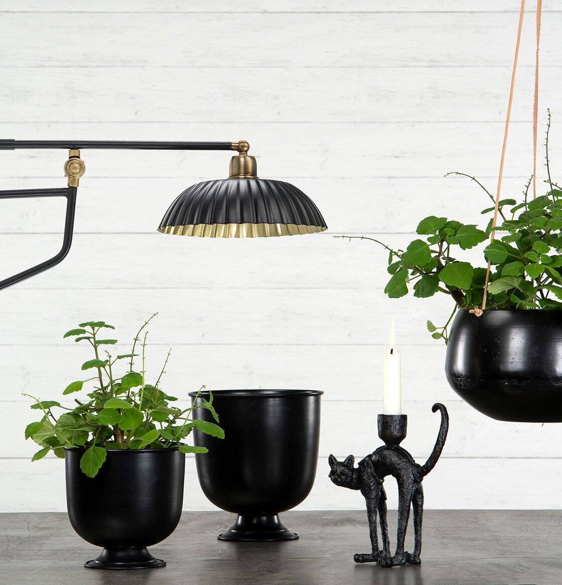 Bild av stilren inredning med unik kattljusstake