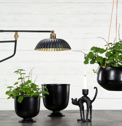 Bild av stilren inredning med unik kattljusstake