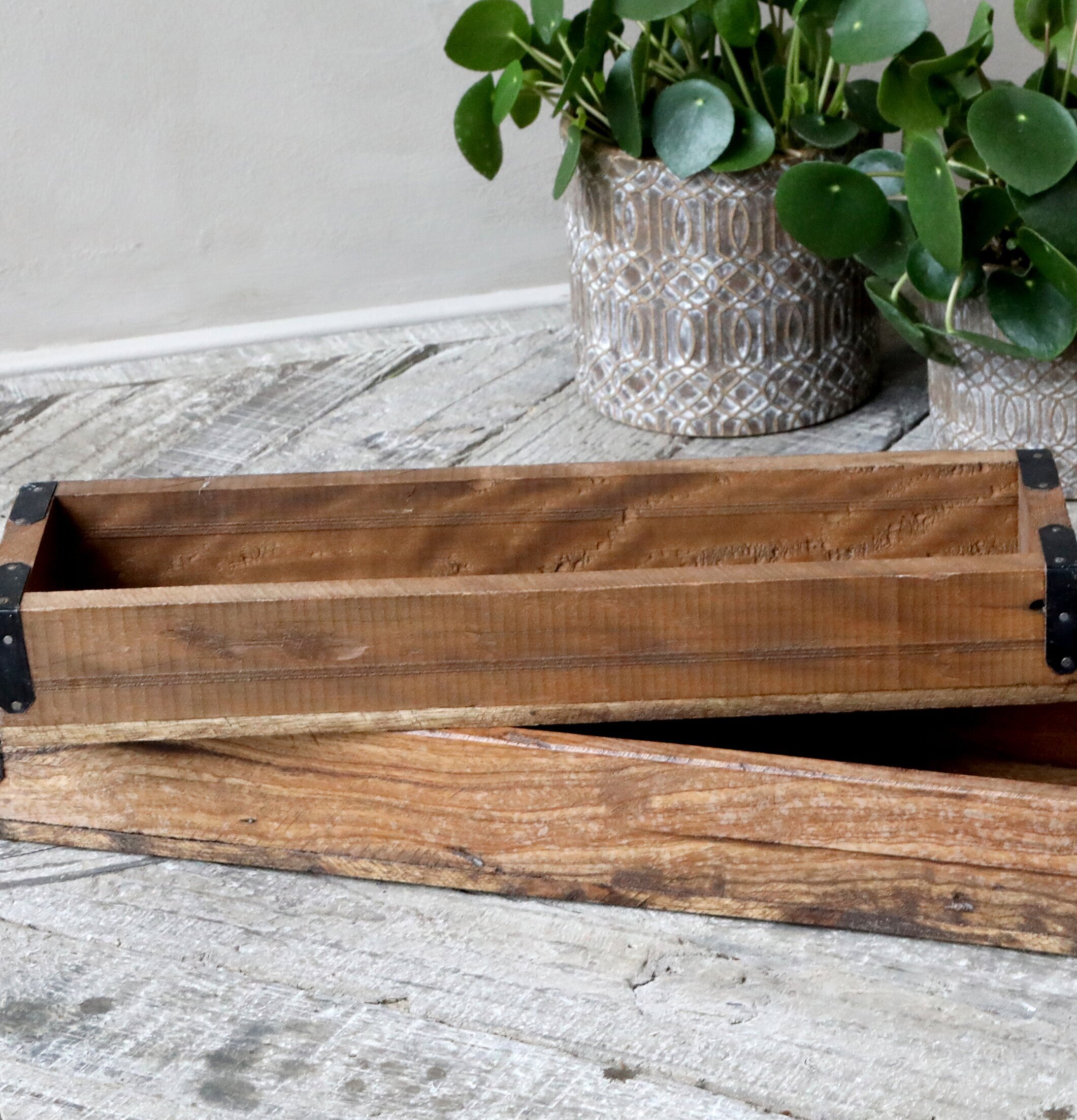 Bild av rustika träfat med metallhörn och växter