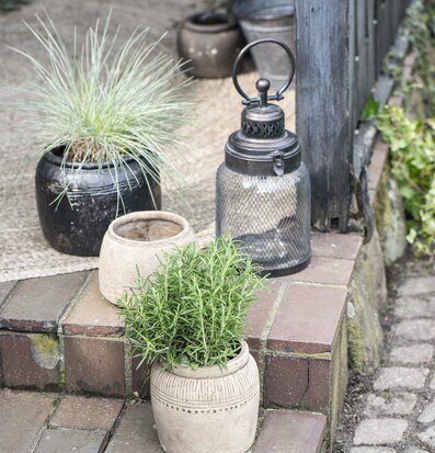 Bild av mysig utomhusmiljö med ljuslykta och växter