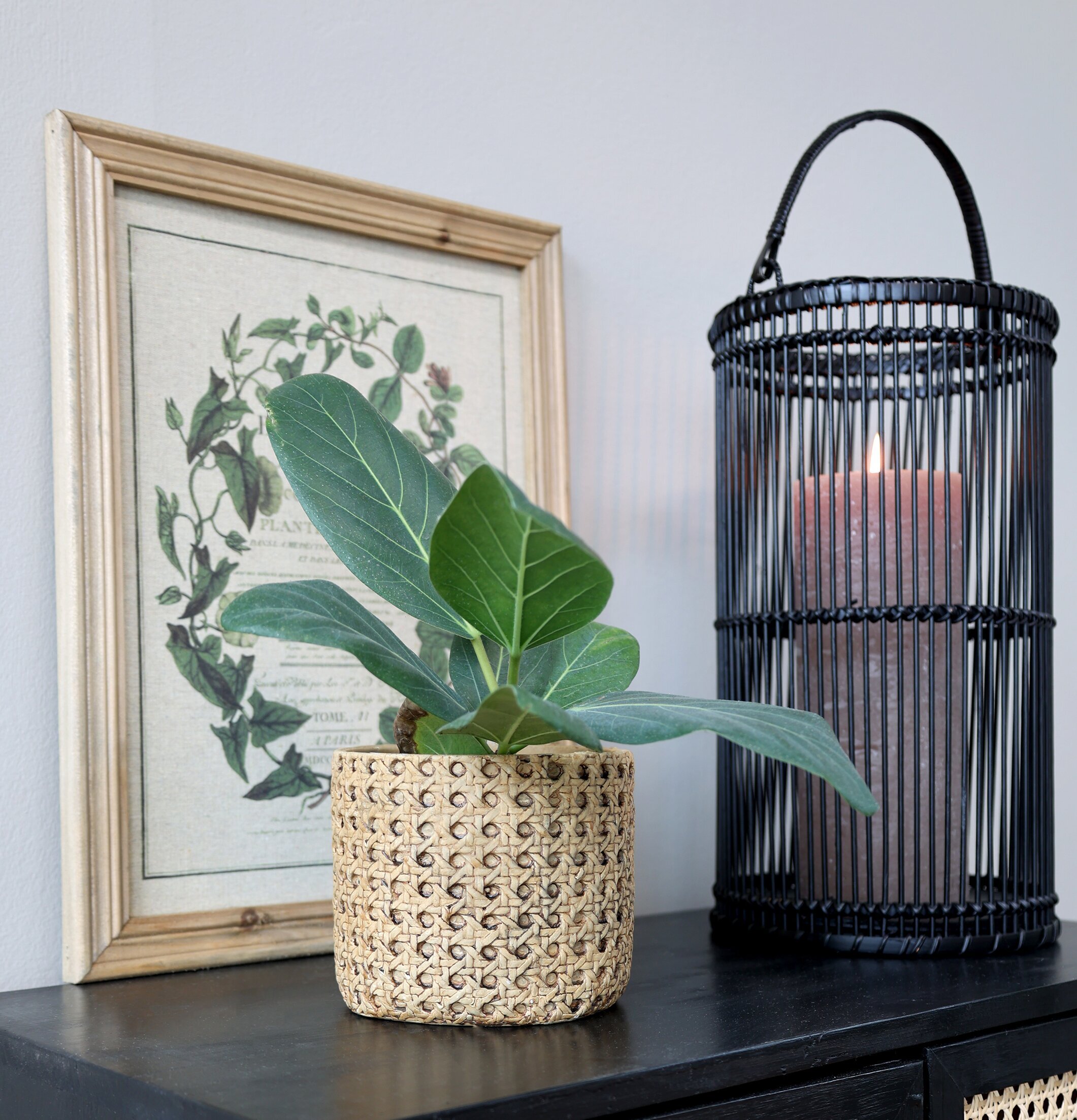 Bild av stilfullt arrangemang med naturliga element