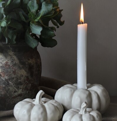 Bild av en stämningsfull ljuslykta i naturlig miljö