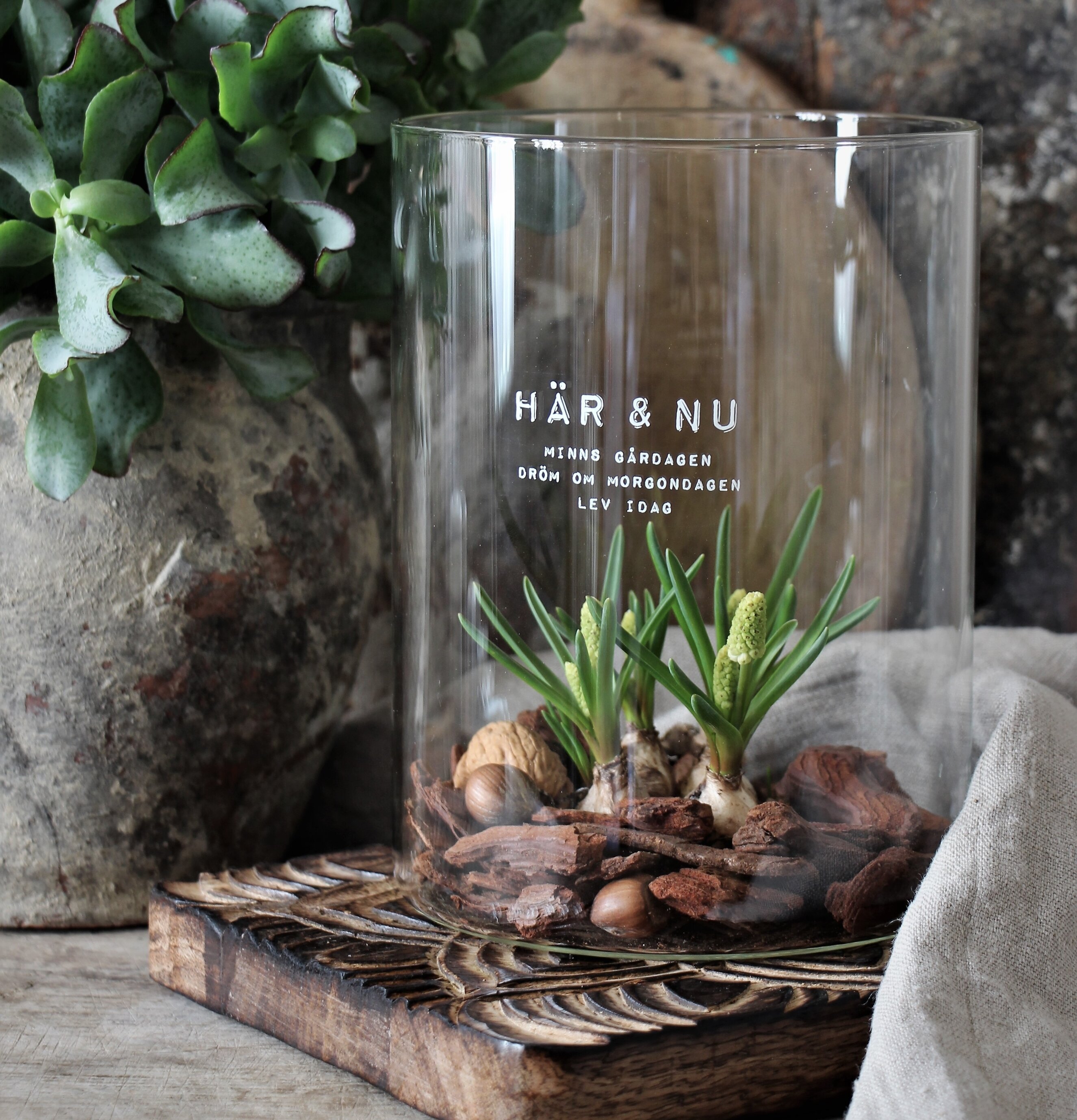 Ljuslykta Här & Nu Klarglas - Majas Cottage, med växter