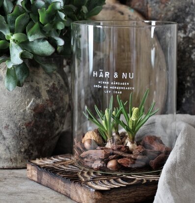 Ljuslykta Här & Nu Klarglas - Majas Cottage, med växter