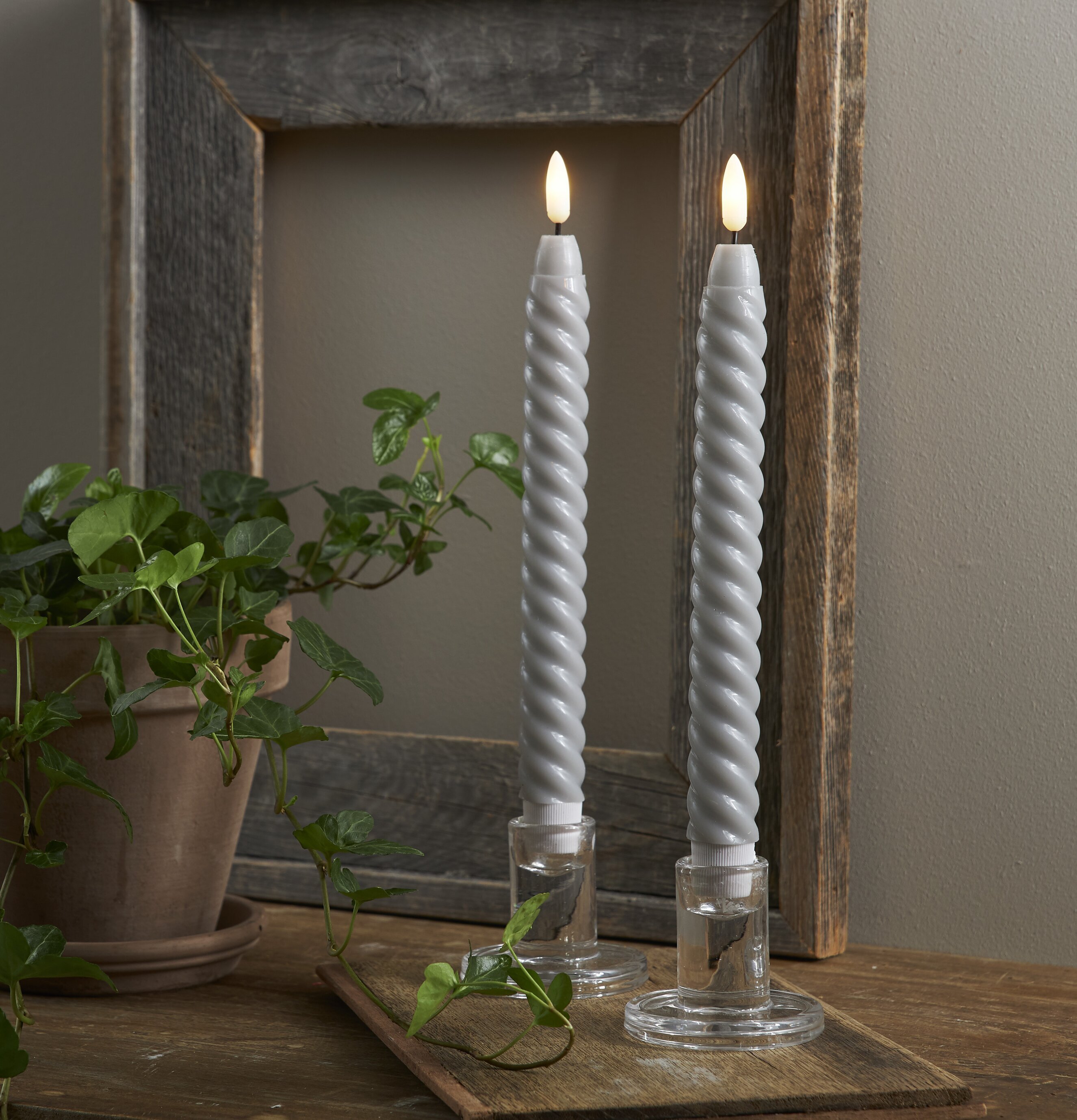 Foto av elegant arrangemang med LED-ljus och växt