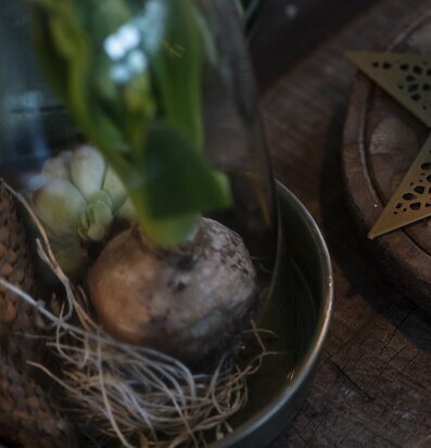 Bild av dekorativt arrangemang i olivgrön skål