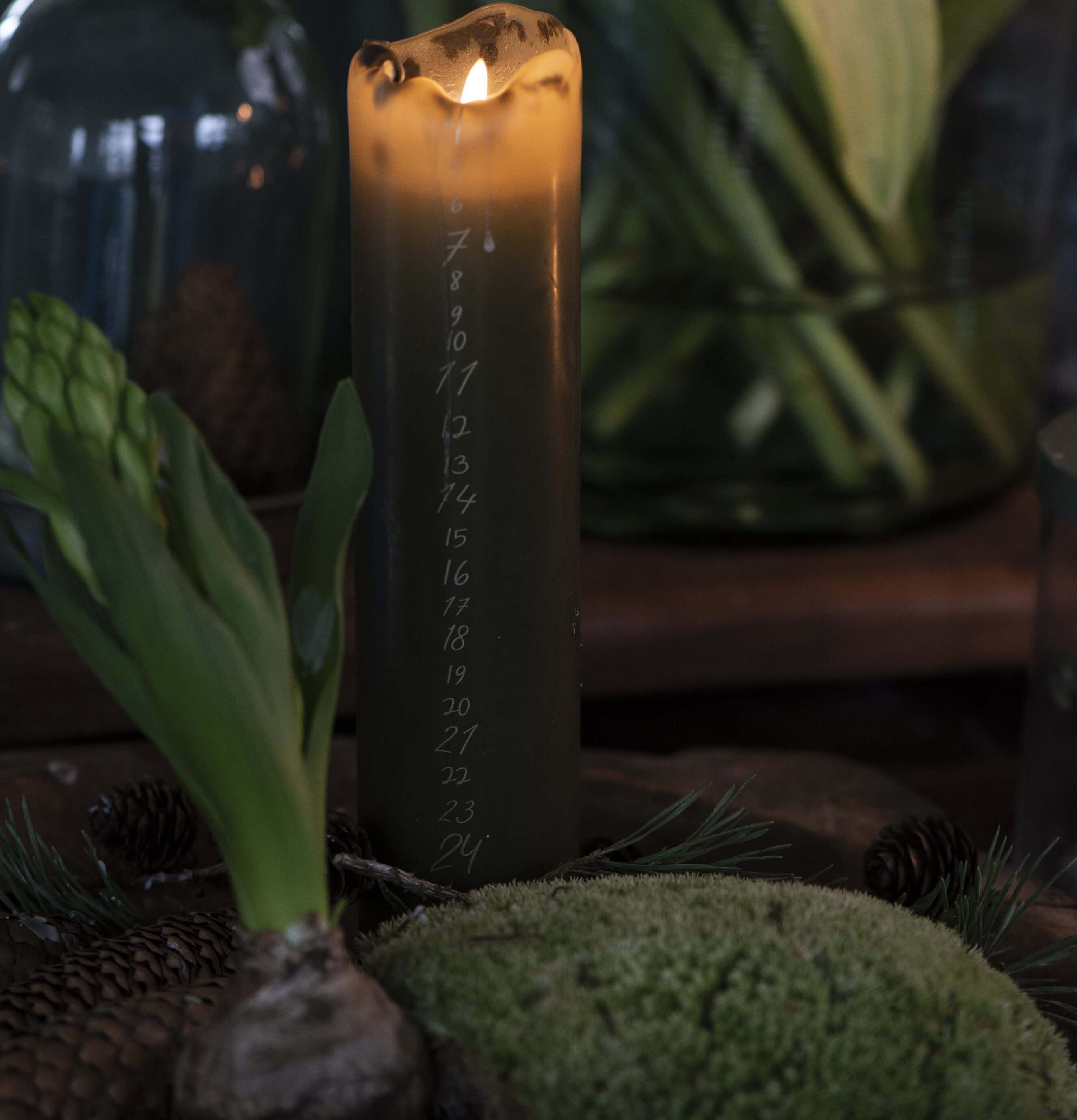 Kalenderljus 1-24 Olivgrön/Guld från IB Laursen på träbord