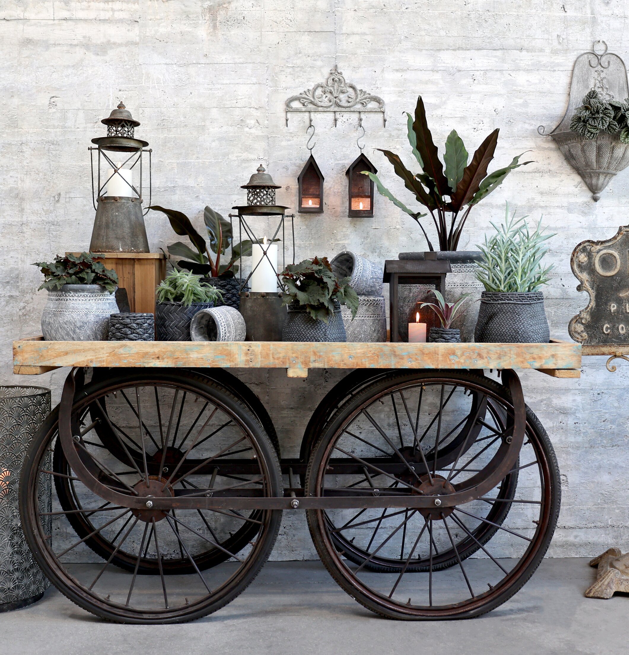 Gl. Lanterna L från Chic Antique i rustik miljö med växter