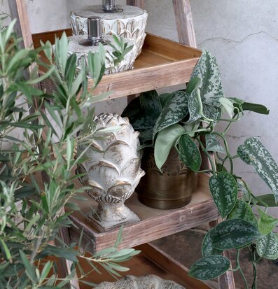 Foto av rustik trästegehylla med dekorativa objekt