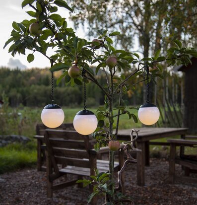 Foto av idyllisk trädgårdsscen med solcellslyktor