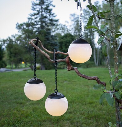 Bild av lummig trädgård med solcellsdekorationer