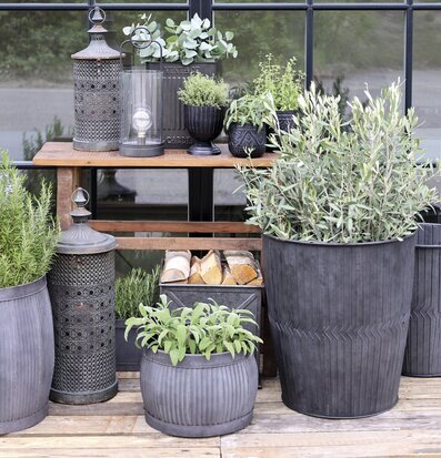 Bild av harmonisk trädgård med ljuslyktor och växter