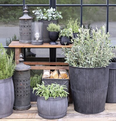 Bild av harmonisk utomhusmiljö med ljuslykta