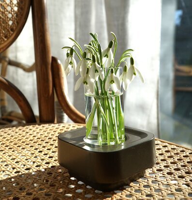 Bild av varm interiör med ljus och naturliga element