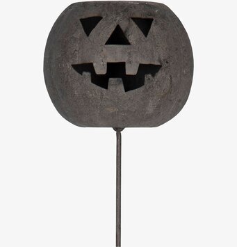 Bild av marschallhållare som pumpa för trädgården