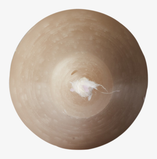 Bild av sandfärgat kronljus med elegant design