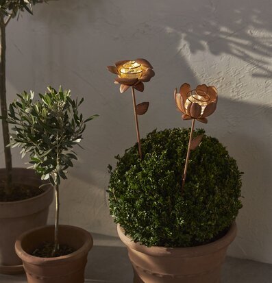 Bild av solcellslyktor i harmonisk trädgårdsmiljö