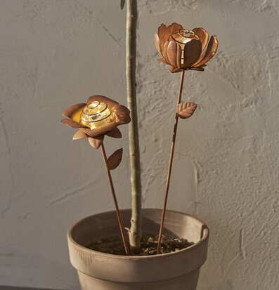 Foto av solcellsblommor i rustik design och varm ton