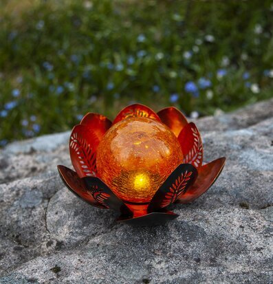 Bild av solcellsdekoration i trädgårdsmiljö