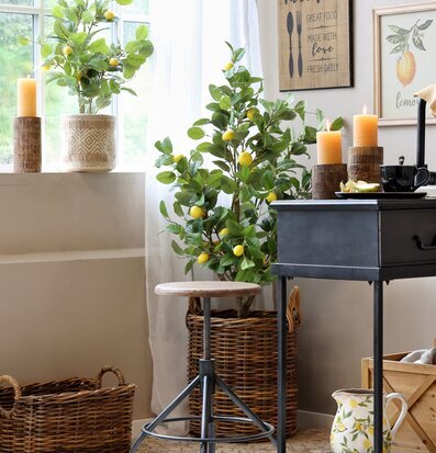 Bild av harmoniskt rum med naturligt ljus och citrus