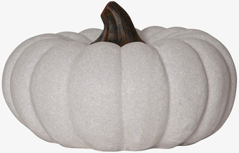 Bild av dekorativ vit pumpa för stilren inredning