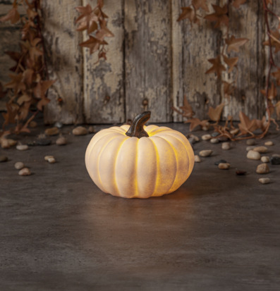 Bild av stämningsfull höstdekoration med ljuslykta