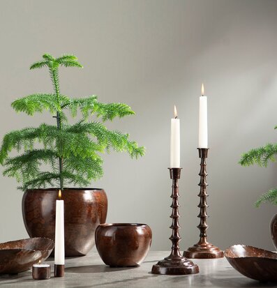 Bild av elegant ljusarrangemang med växter och design