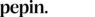Logo varumärke Pepin