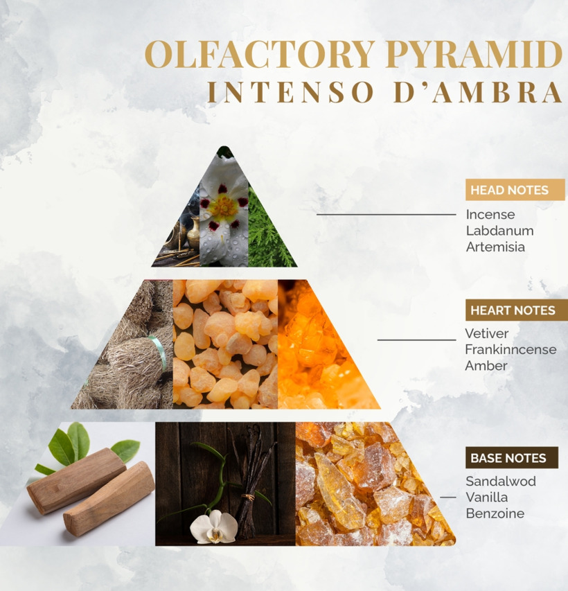 Bild av olfaktorisk pyramid med doftnoter och struktur