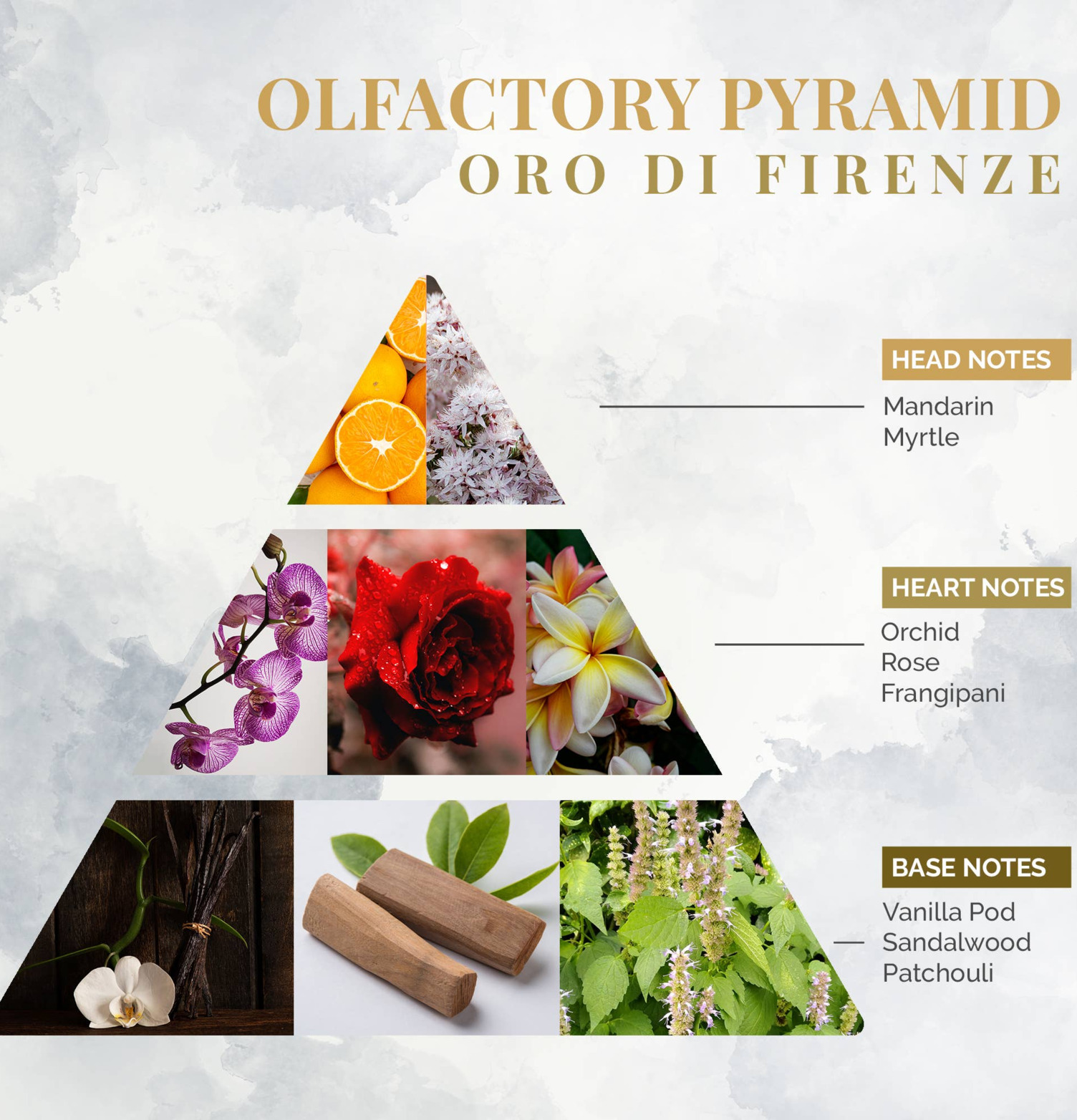 Bild av doftpyramid med topp-, hjärt- och basnoter