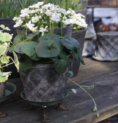 Bild av unika blomfat och krukor i inspirerande utemiljö