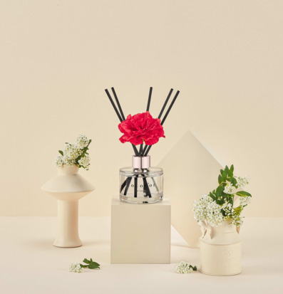 Bild: Harmonisk produktpresentation med doftpinnar och vaser