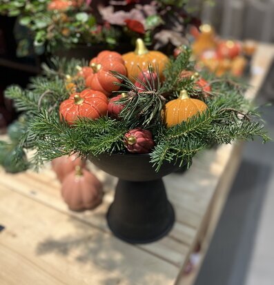 Bild på höstligt fat med pumpor och barr i ljus butiksmiljö