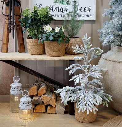 Bild med vinterinredning, jullyktor och rustika naturmaterial