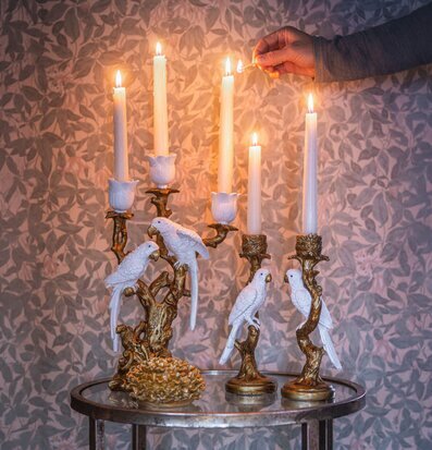 Foto: Tända kronljus i ljusstakar med fåglar på gren